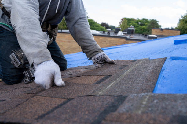 Best Shingle Roofing Installation  in Oakley, KS